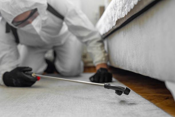 Professional Ant Control technician working in Buckeye Lake, OH